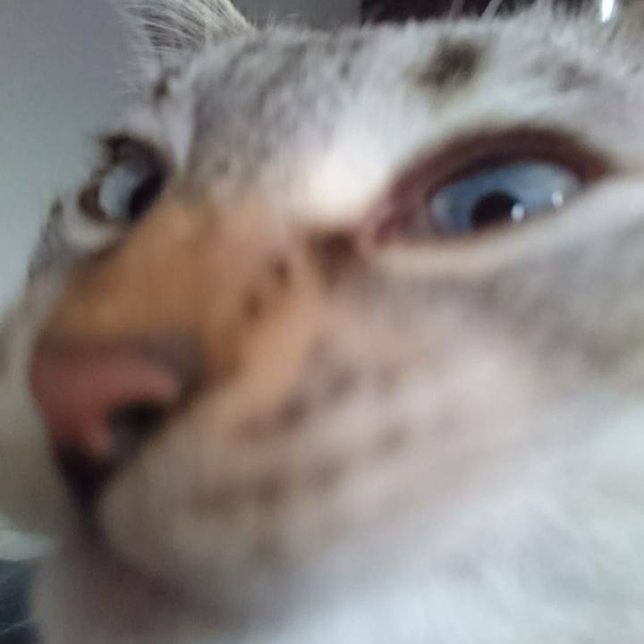 3156d6ba f9dc 4b74 8aa7 8a780d72d0c6