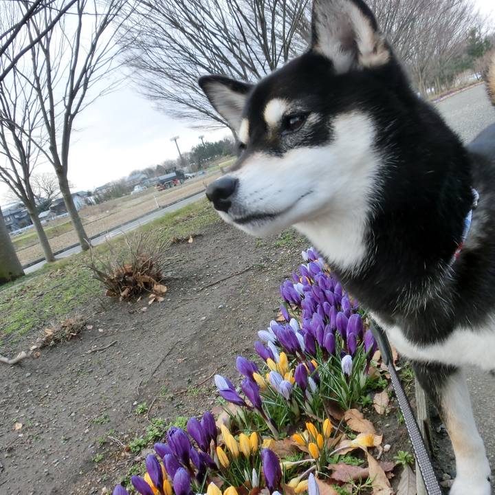 3157d46d 6c18 4e5d 8c36 e2398d144300