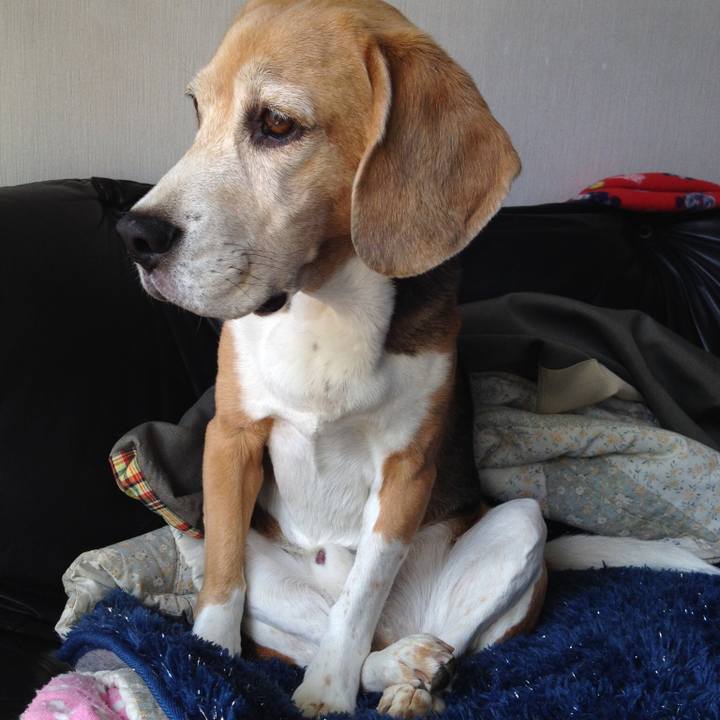 315882a1 9b29 4eb2 806e 9028667571ee