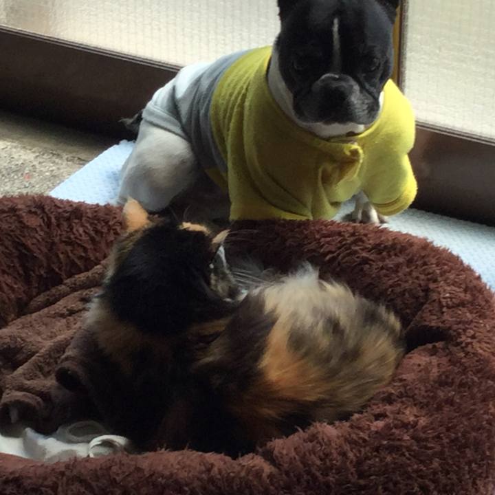 3158d9ec a5af 489d a673 c16702b4a40e