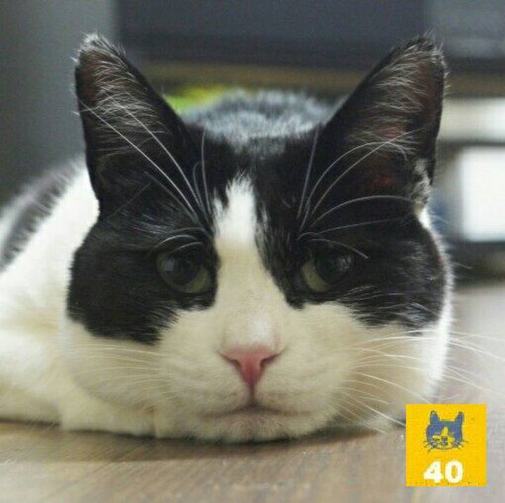 31599293 fb58 44fa 8389 2f9365ab711c