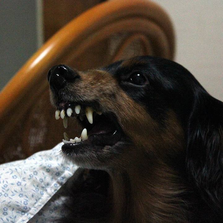 3159ead0 8282 4e4a 8134 03de77131a0d