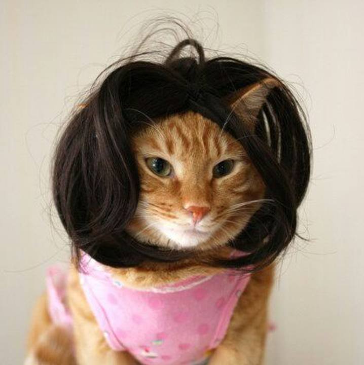 3159f6f5 3b9c 47f7 8345 d3eefb59a634