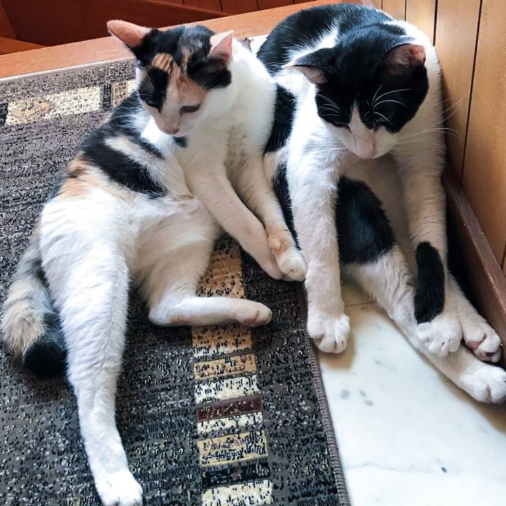 315a2f66 f07c 4916 858b bcbaddd5e481