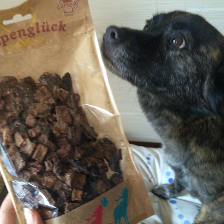 315a5269 8d95 49e1 87a1 b5a779e38d6b