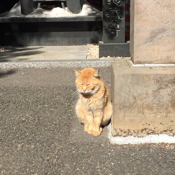 315a91e9 c704 45f6 9b6d 54464638a6f0