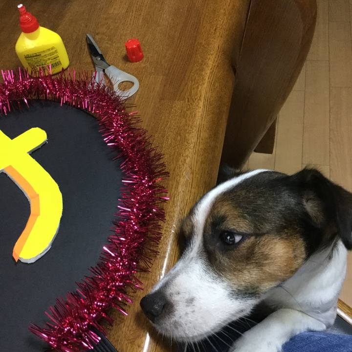 315aa4fb dc55 4959 899f a5c349045a0a