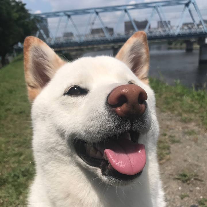 315b371c 495e 44ac b6be aa0cfb7a2cd7