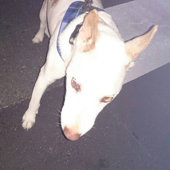 315b7ab5 59ba 4192 8592 de56bf530dfe