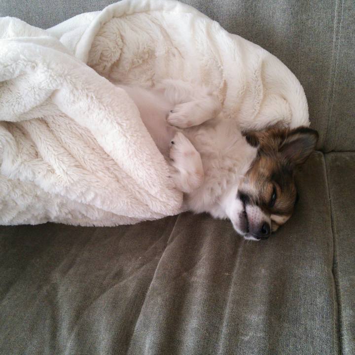 315b9842 68ae 403c b684 74379d37ba95