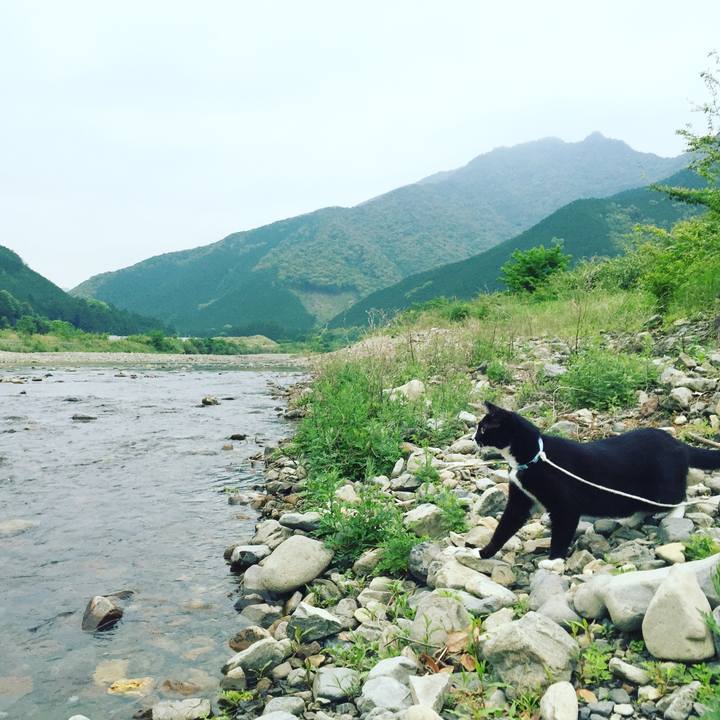 315ba6c1 dc24 4529 98df d00df64ec7cf