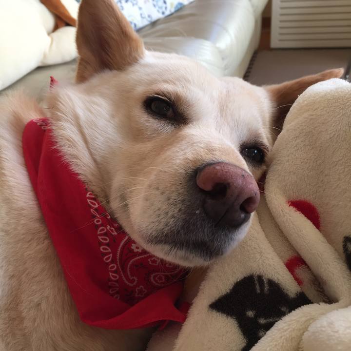 315ba9ee c280 4022 a96b b66486237cb0