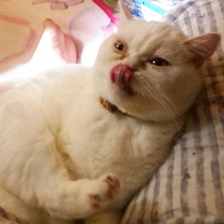 315bdc33 864c 4b4e 8bb0 c90d5fe4c43a