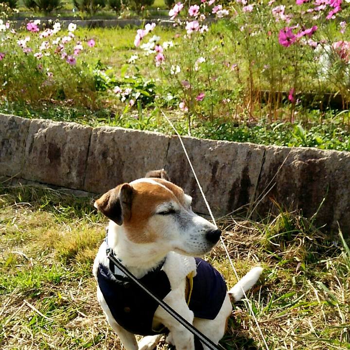 315c0672 0832 488f 9435 685518532d8b