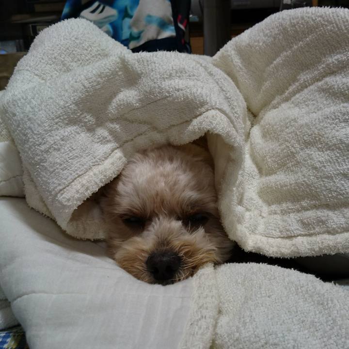 315caede a54d 4b74 8831 ce3f0c2674fa