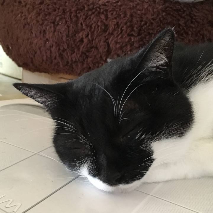 315cb513 3fe1 4449 b7c3 ebacef636042