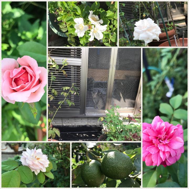 315cf2a6 1bb5 401c bdc1 59b67ef77005