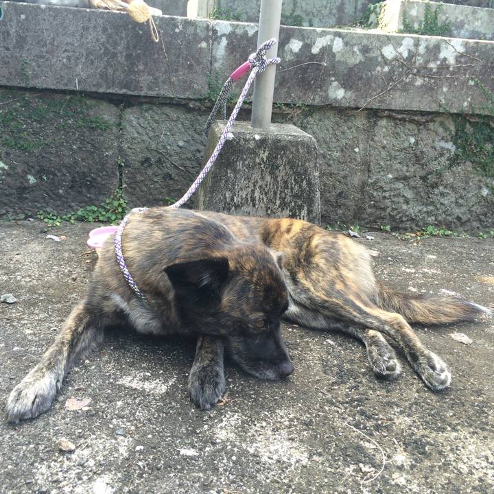 315d6284 1bb5 4ea9 9924 4bf20e19dbf1