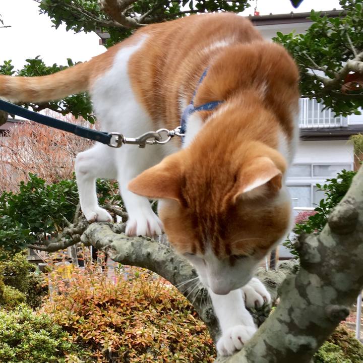 315dfbe2 ab87 4cb1 a33d 950aba1bb1f7