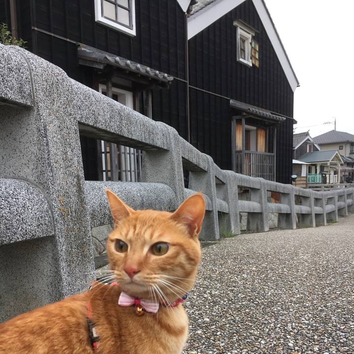 315e7458 2f76 49d6 84e6 26a9eae373e7