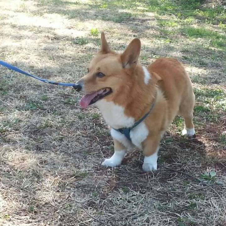 315ee112 34c1 4a55 a850 4f3bc2212147