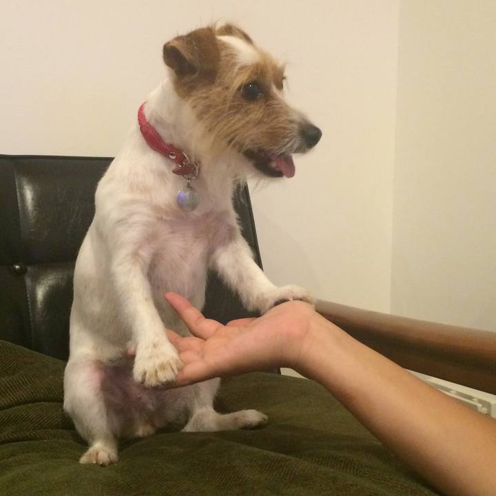 315faa33 fbc8 4697 a3fc aba0a9f91c58