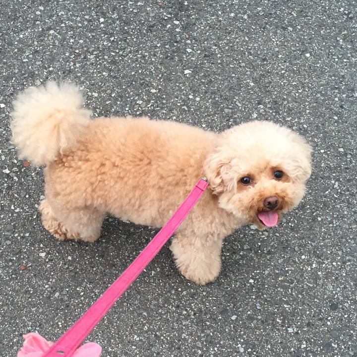 31600b87 ef82 4f78 94fa fdbce0649682