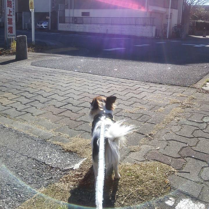 316023a2 ed49 4098 8b1e 060e0b0d824b