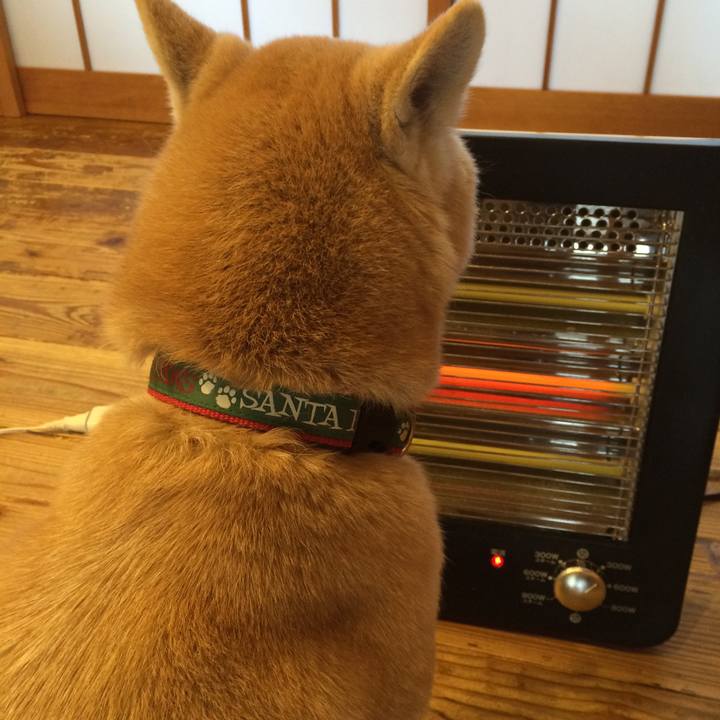 3160b1ff 7c45 4324 8f2f 5cf5c2c16d39