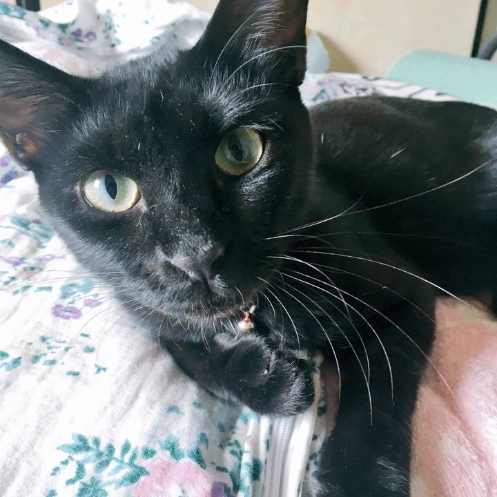 31610171 8631 4b02 b886 949809e1111b