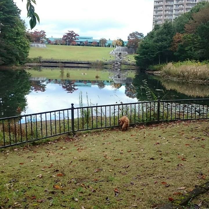 31610429 452f 402d bd8a f0c051e5b680