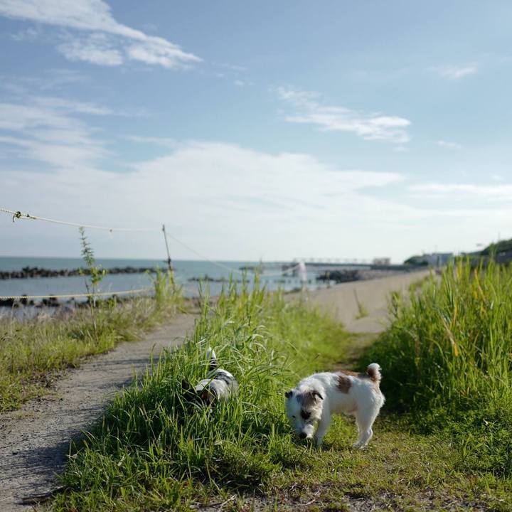 31611962 9e25 42d6 8876 2d6eaa592384