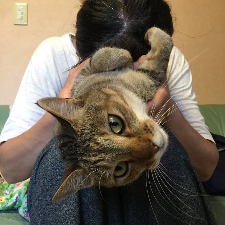 316126aa 34c0 4fe7 9702 00398546cff1