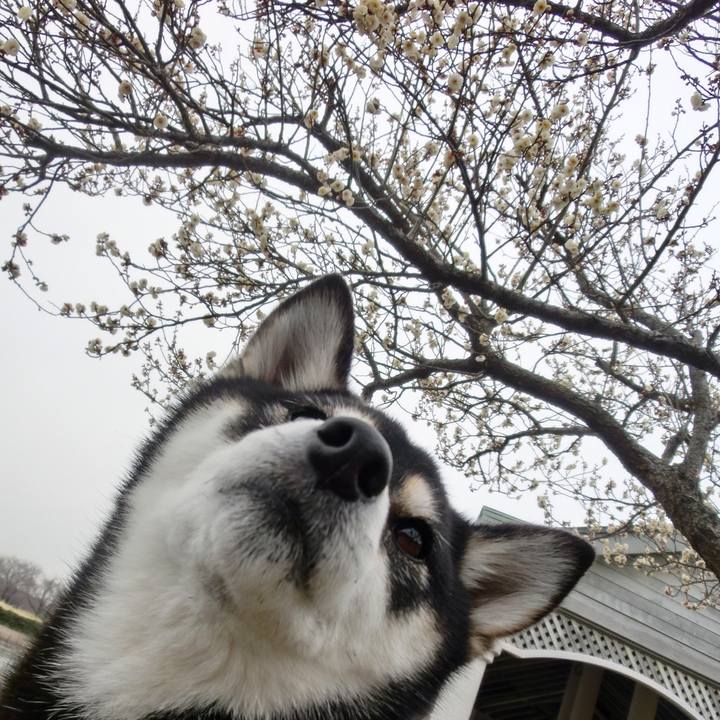 31618d1d f324 4c94 b722 99b1b2754373