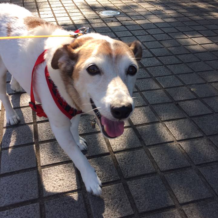 31619c7f 19ee 40d0 8a25 6db3a5110c1e