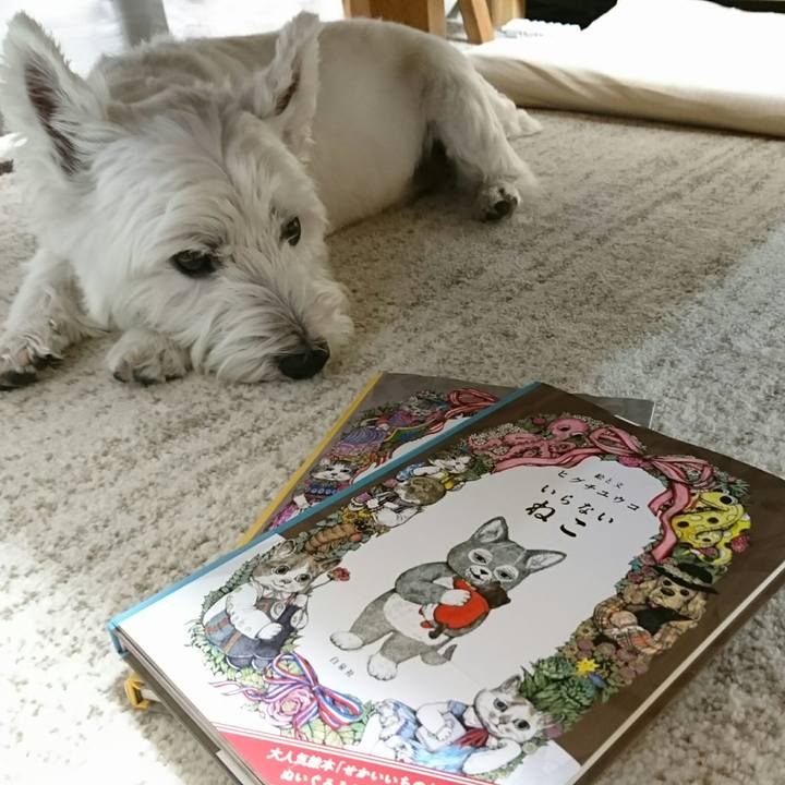 3162764b 87ef 4595 a570 dffb9324b7c9