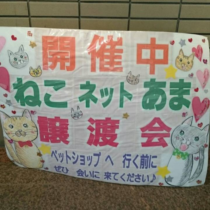 31628002 0138 4fa7 8c67 387ca9893912