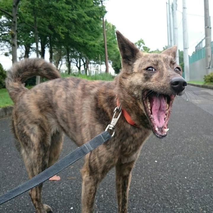 3162d3ad d248 4f90 8930 c293c3d58940