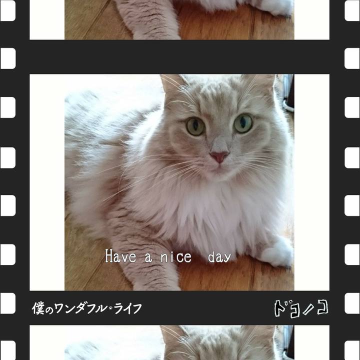 31634f35 ee25 4dd2 99fa 724f47958029