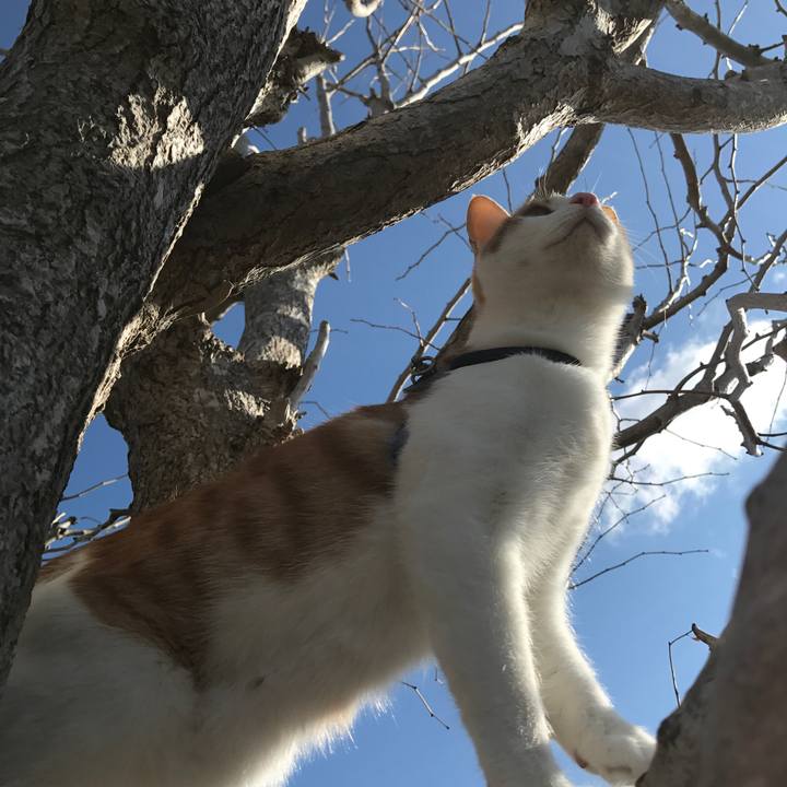 3163cf77 f586 4655 8099 d1428f592236