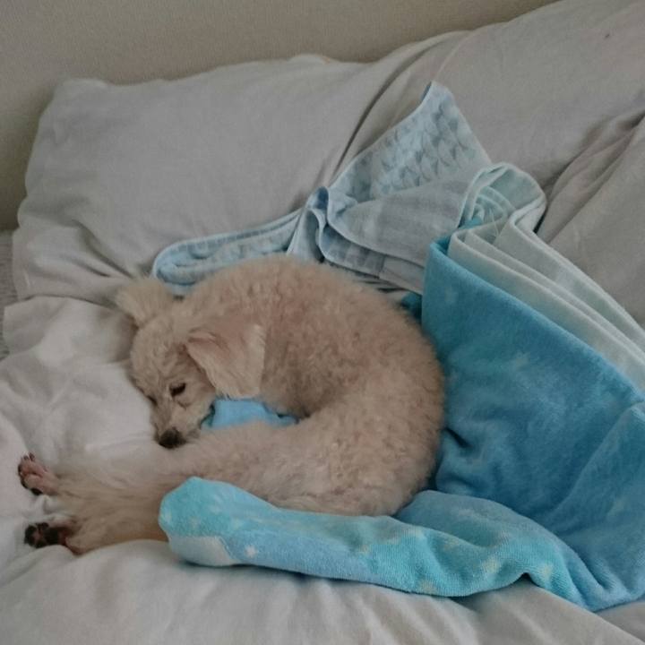 316410ac 93c5 4099 b2aa 307c535ead91