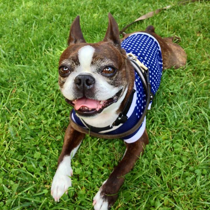 31646aa4 901b 45da 8ee3 75c05967b290