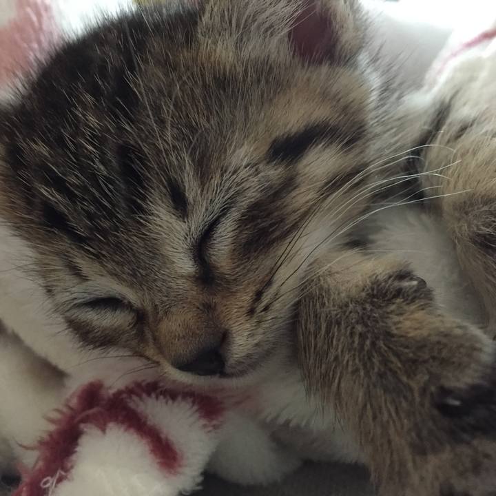 31646b65 05e8 427b b757 b30b1b06d0ba