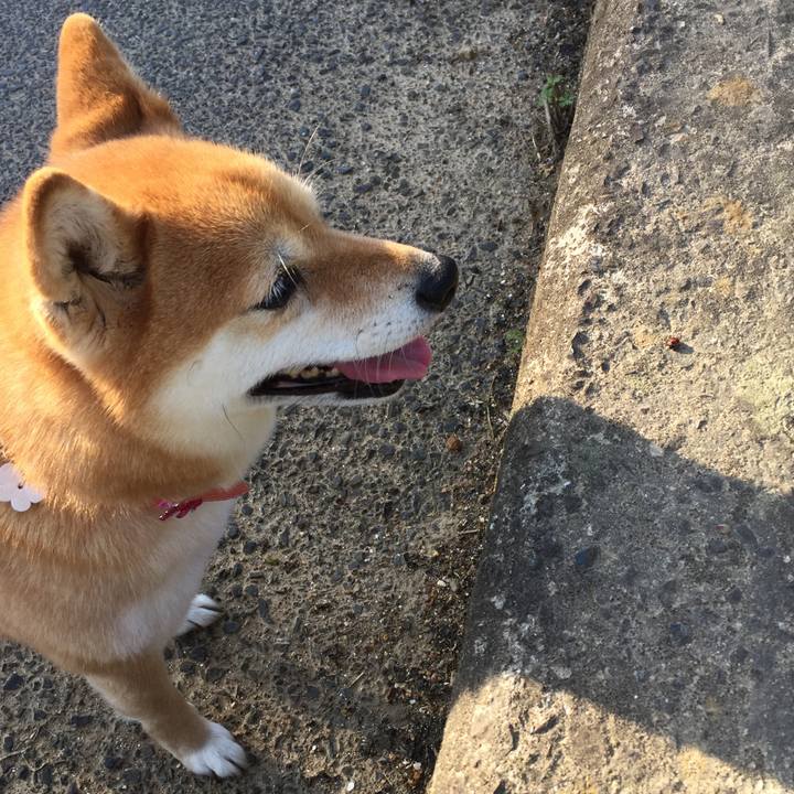 3164717b 35aa 4dd0 ad12 643b09ce7acb