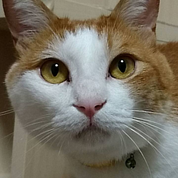 3164d128 9757 4231 a928 d85b1c4c58df