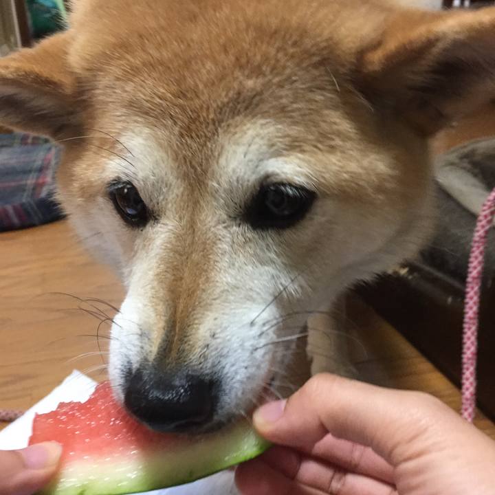 31652b8a ab58 420f 8487 5c9a2a9acc42