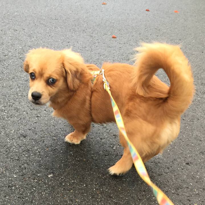 31659138 ef30 4f71 9b7c 4da38ee14d00