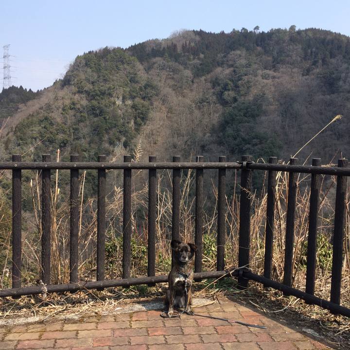 3165c288 5266 493c af6f 97fd8756e2df