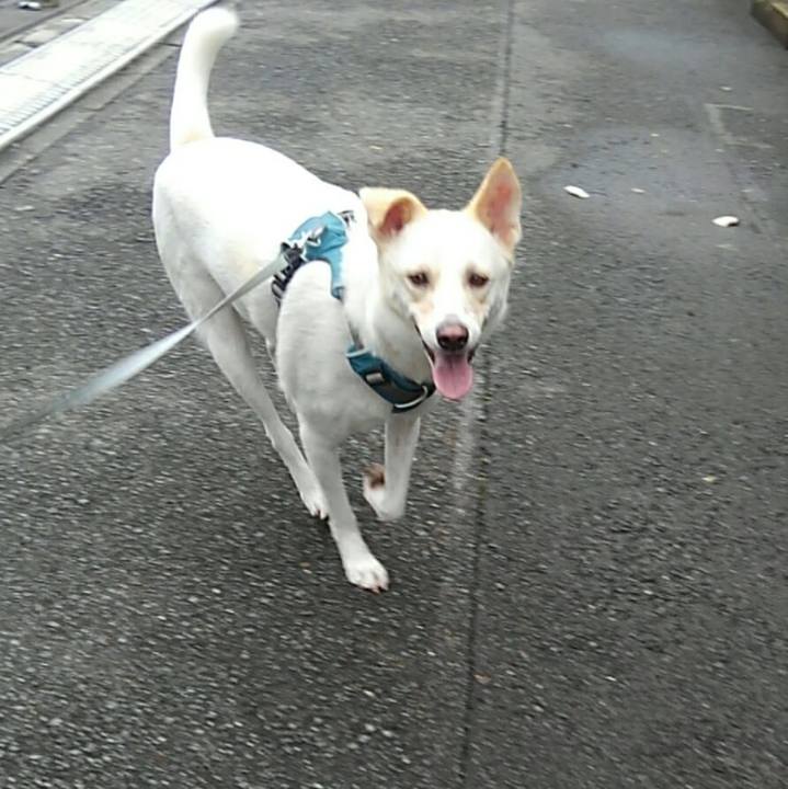 3166c4cf fe50 4f05 8a73 3c37d9f4f201