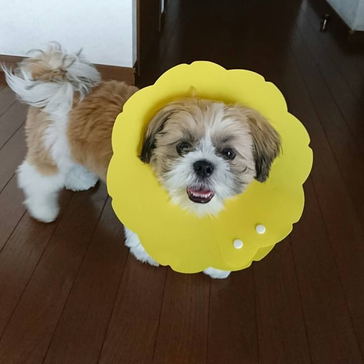 3166d390 f0a0 4435 9476 36c298b6ebc8